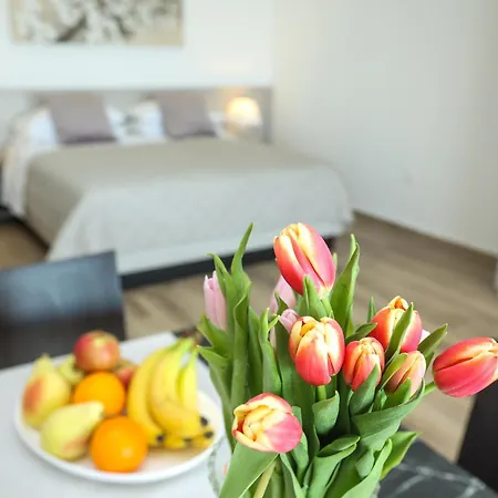 Vukic Apartman